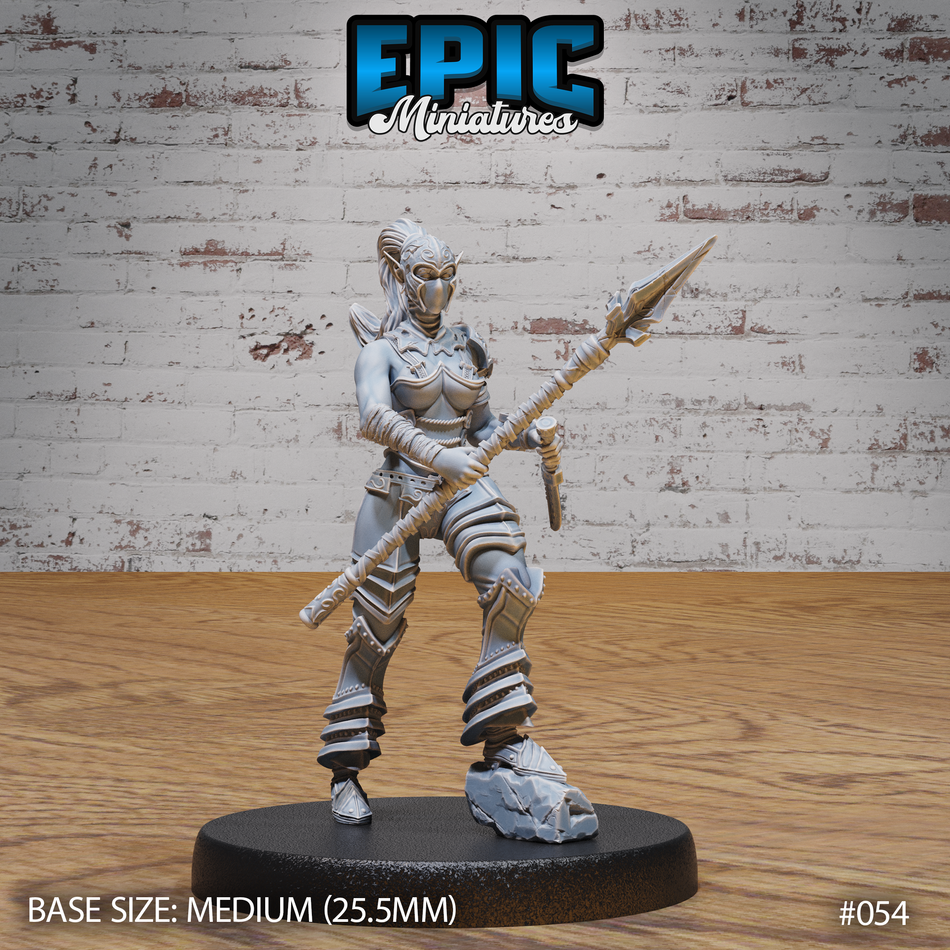 Dark Elf Gladiator Female 3D Print