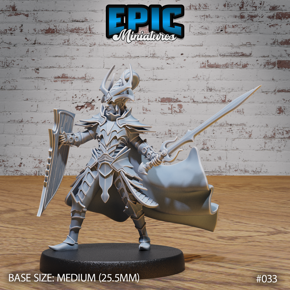 Dark Elf Army Paladin 3D Print