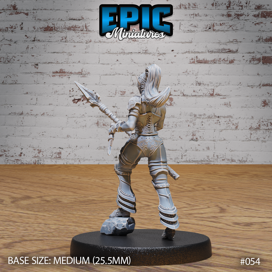 Dark Elf Gladiator Female 3D Print