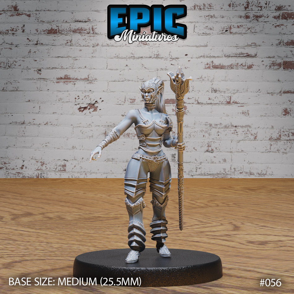 Dark Elf Gladiator Female Staff 3D Print