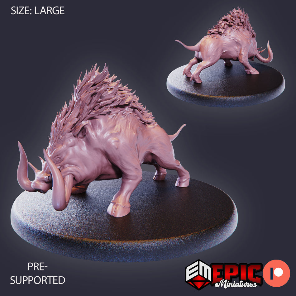 Forest Boar Attacking