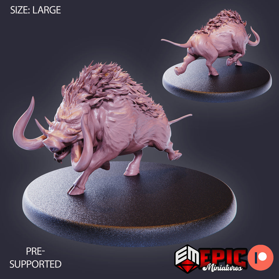 Forest Boar Running