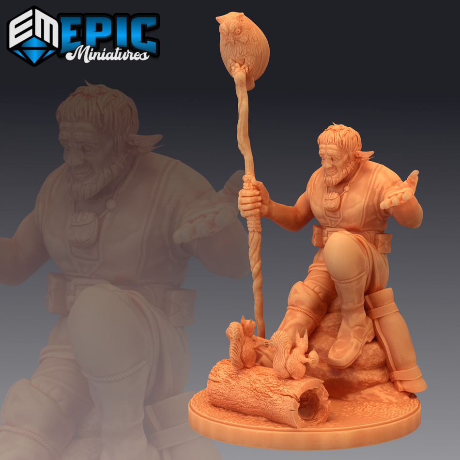 Firbolg Druid Talking