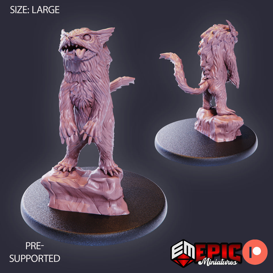 Owlcat Standing
