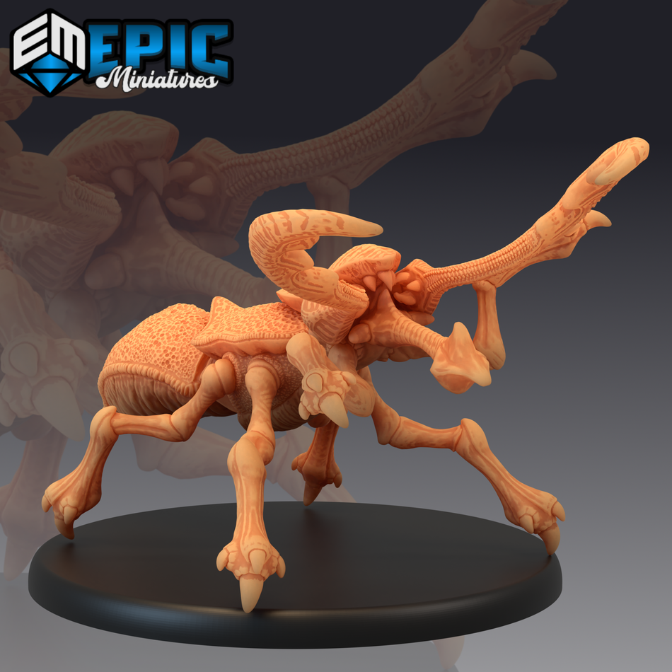 Dread Beetle - 2 Variations