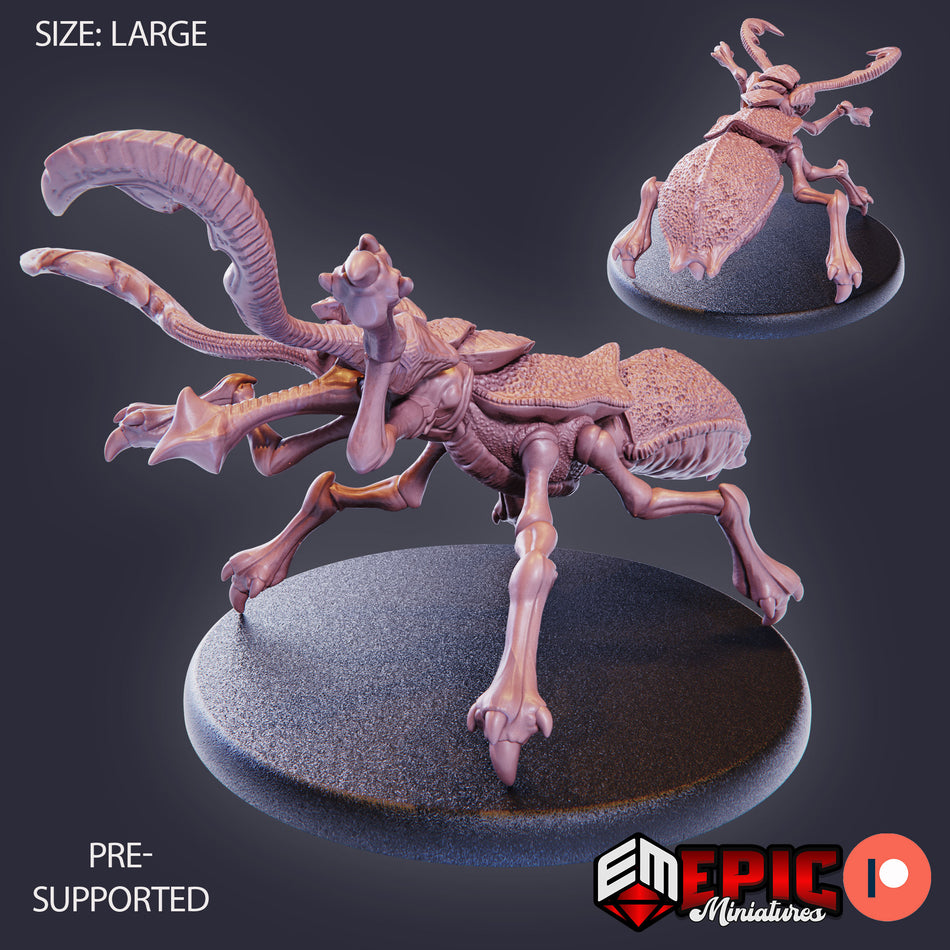 Dread Beetle - 2 Variations