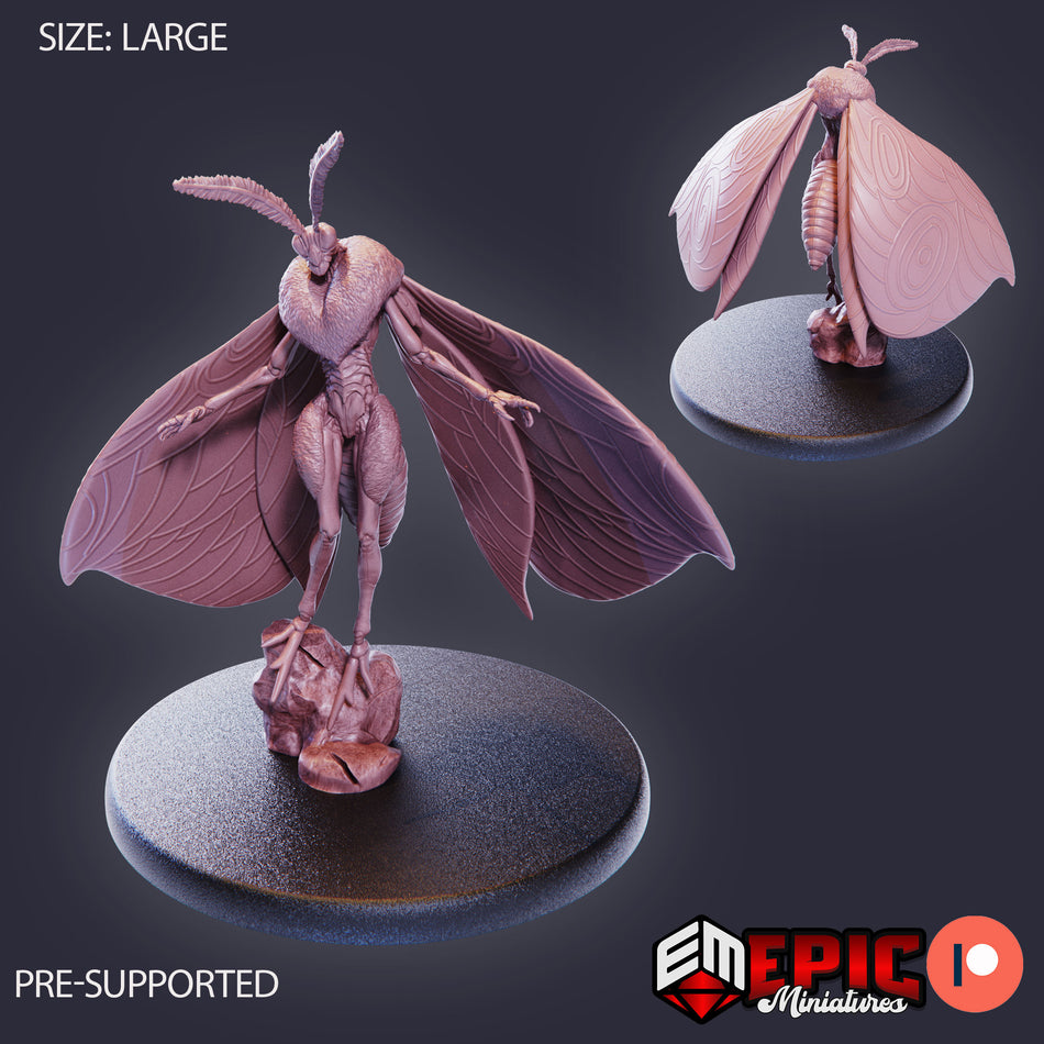 Moth Queen