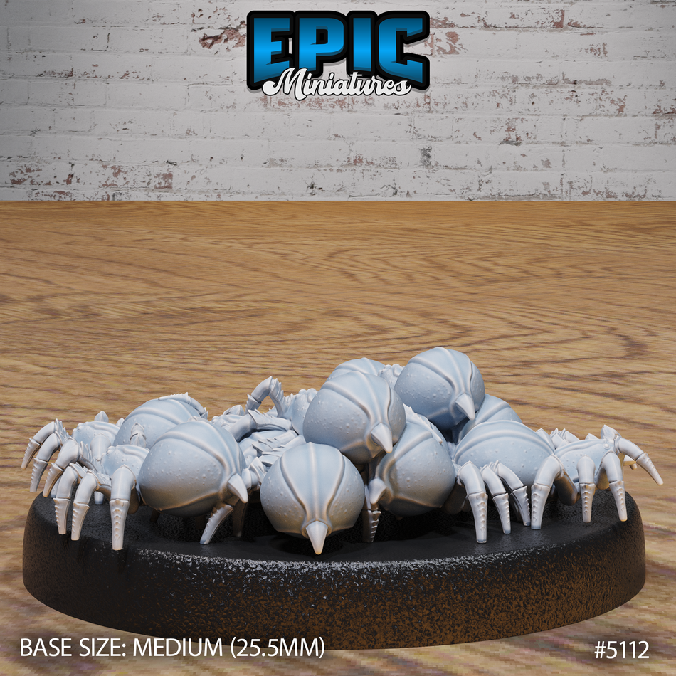 Spider Swarm Big